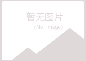 保山夏日化学有限公司